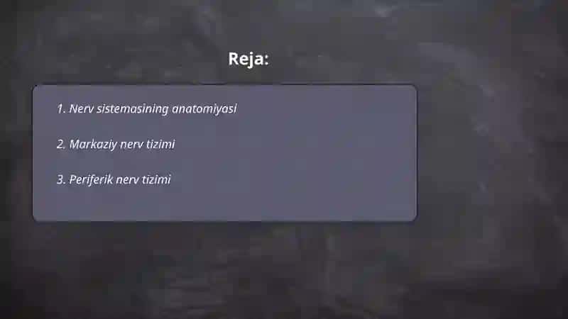 Nerv sistemasining tuzilishi 2