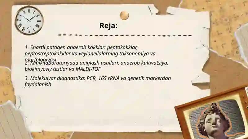 Shartli patogen anaerob kokklar (peptokokklar, peptostreptokokklar, veylonellalar) 2
