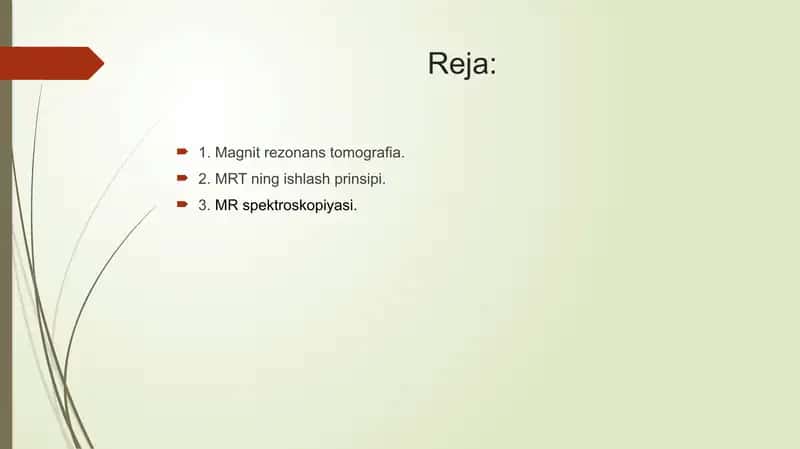 Magnitrezonanstomografiya 2