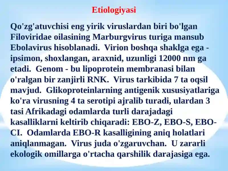 Ebola, Lassa, viruslari, kasallik patogenezi, laborator tashhisi 2