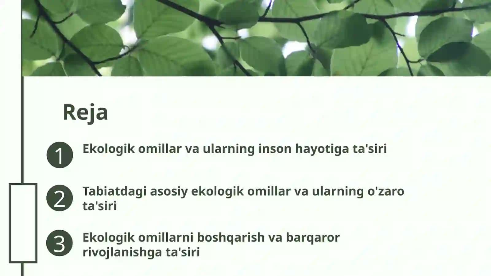 Ekologik omillar 2