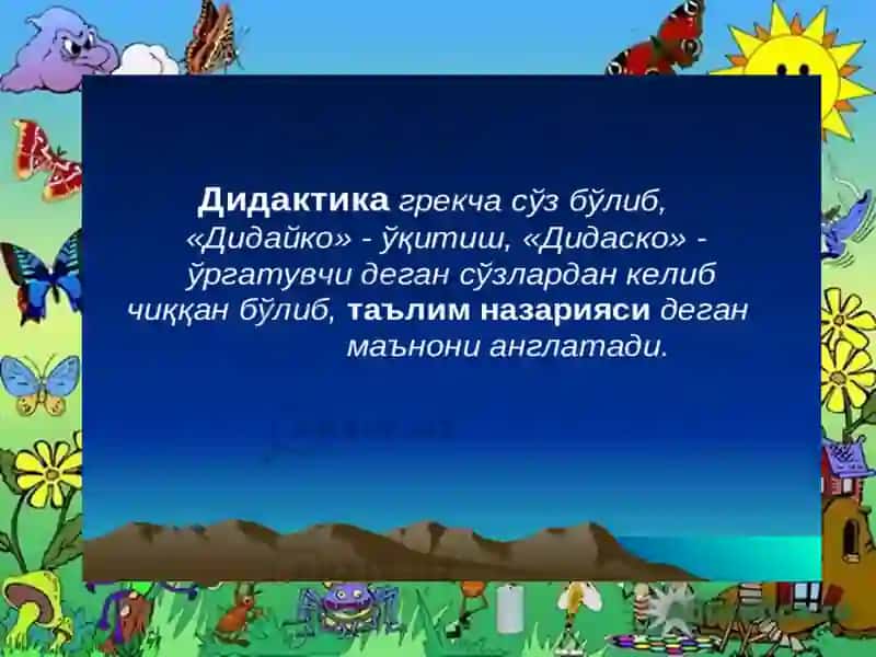 Дидактика йўнлари 2