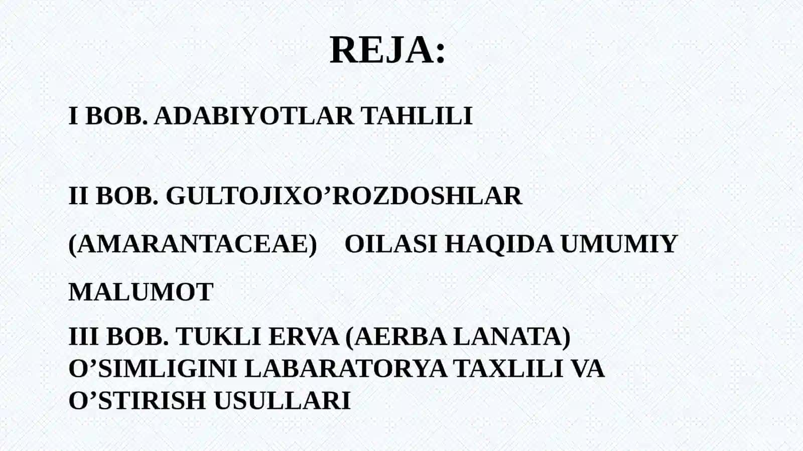 Tukli Erva (Aerba Lanata) O'simligini LabaratoryataxLili va O'stirish Usullari 2