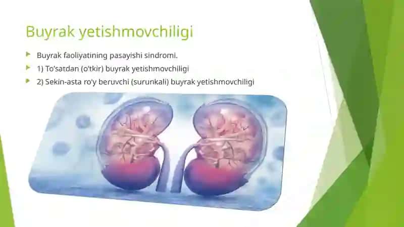 Buyrak yetishmovchiligi 2
