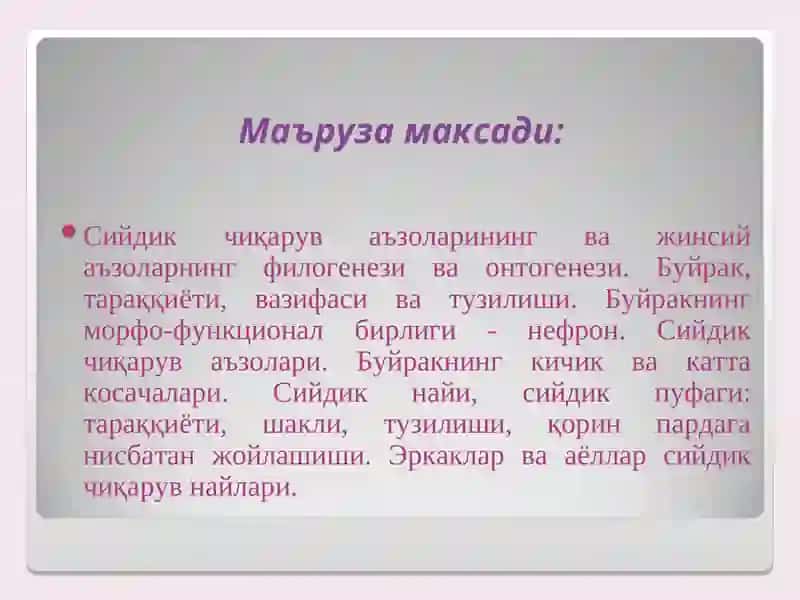 Сийдик Чиқарув Аъзоларининг Функционал Анатомияси 2