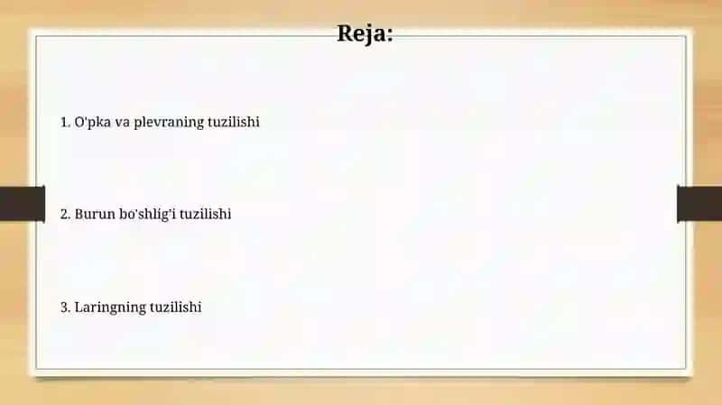 Nafas olish azolarining tuzilishi 2