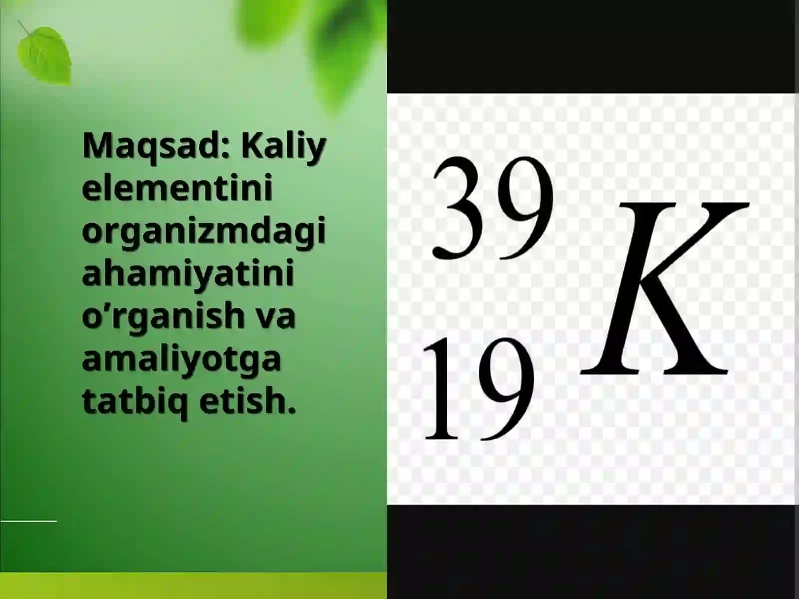KALIY ELEMENTINI TIRIK ORGANIZMDAGI AHAMIYATI 2