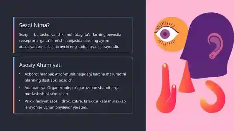 Sezgilar: Umumiy tushuncha va nerv-fiziologik asoslar 2