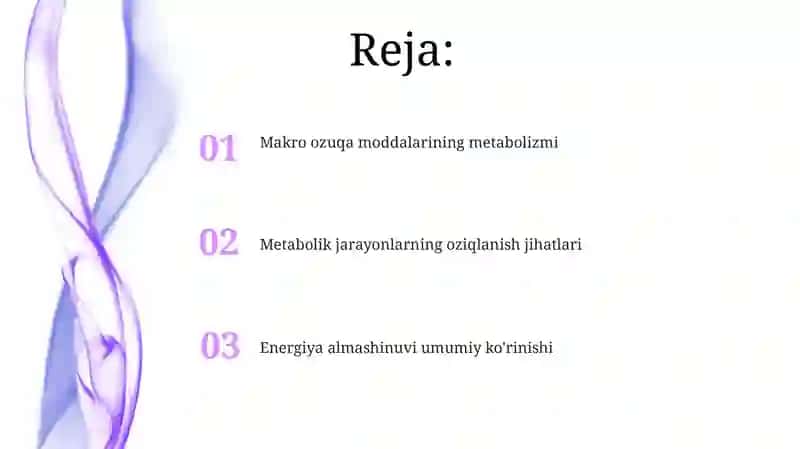 Makro ozuqa moddalarining metabolizmi 2