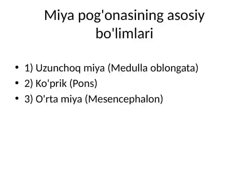 Miya pog'onalari va ularning ahamiyati 2