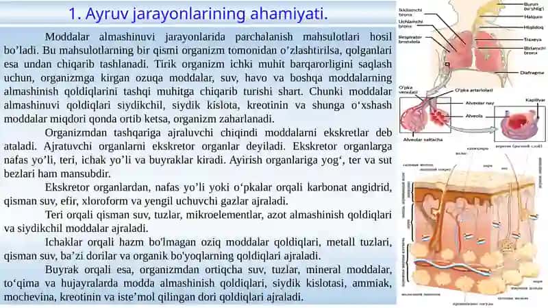 Moddalar almashinuvi jarayonlari 2