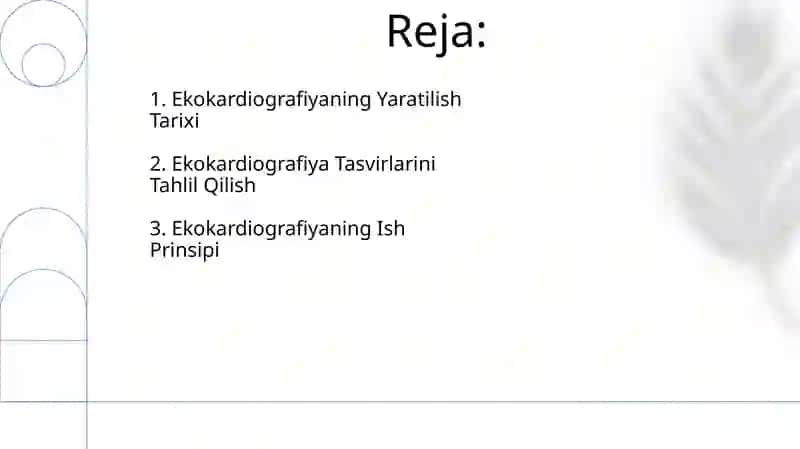 Ekokardiografiyani yaratilishi va ishlash printsipi 2