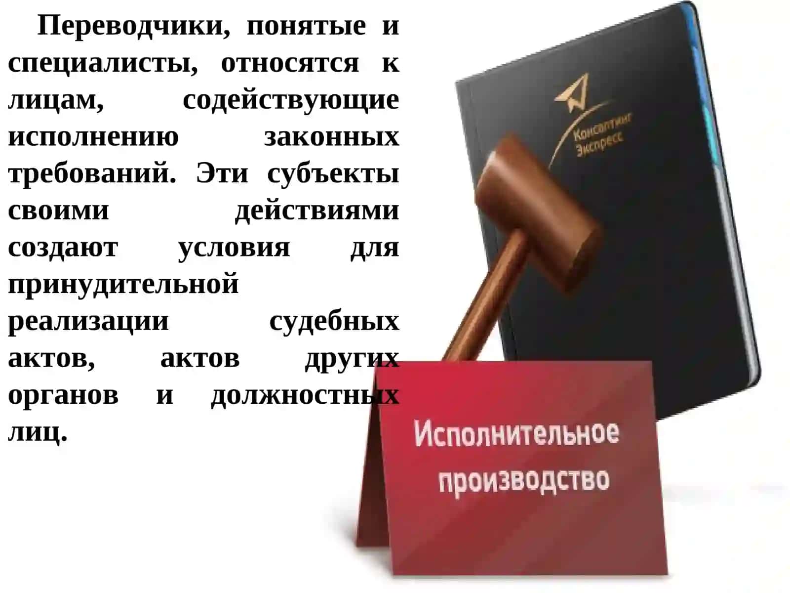 Лица, участвующие в исполнительном производстве 2