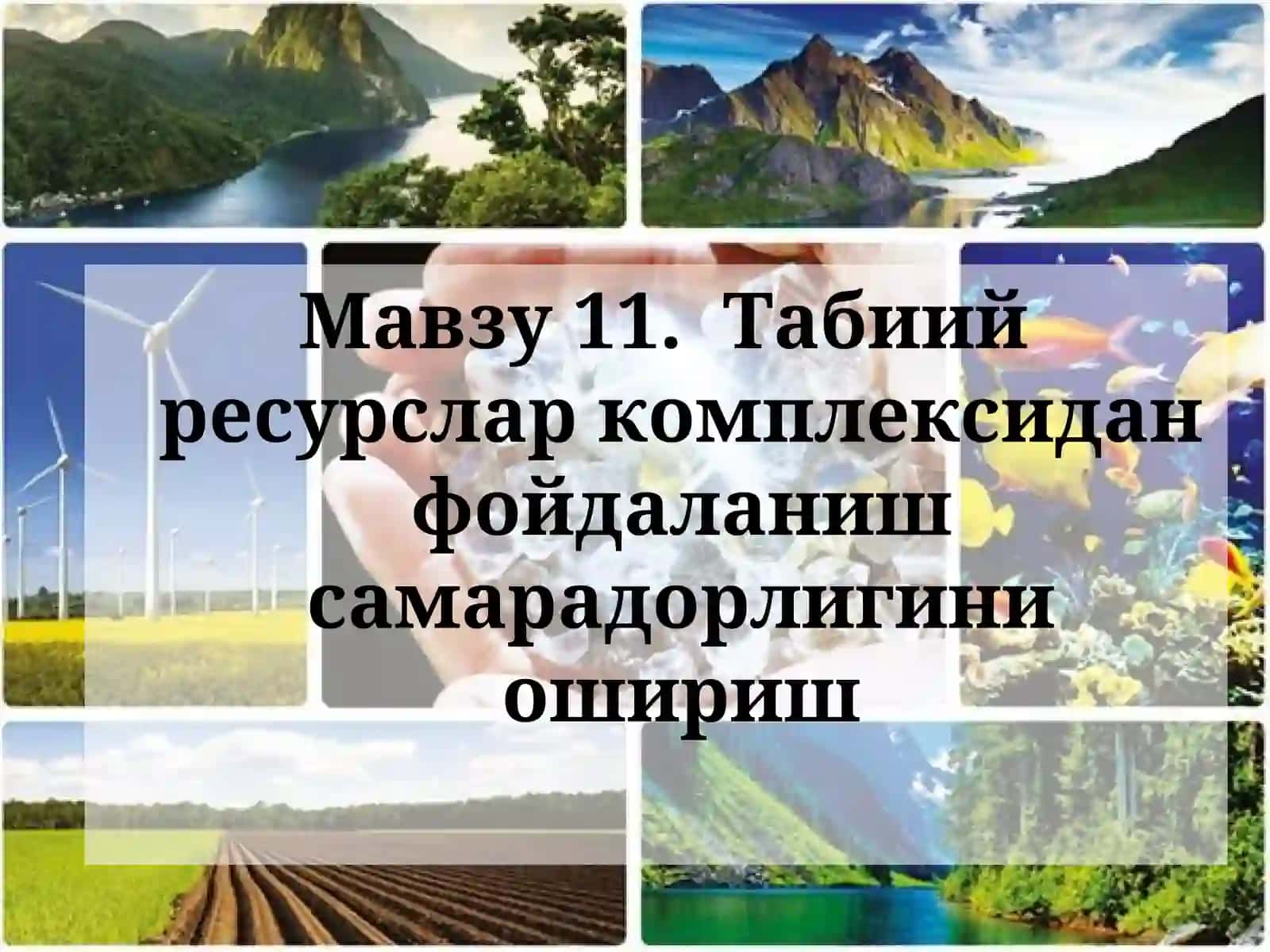 Табиий ресурслар комплексидан фойдаланиш самарадорлигини ошириш 2