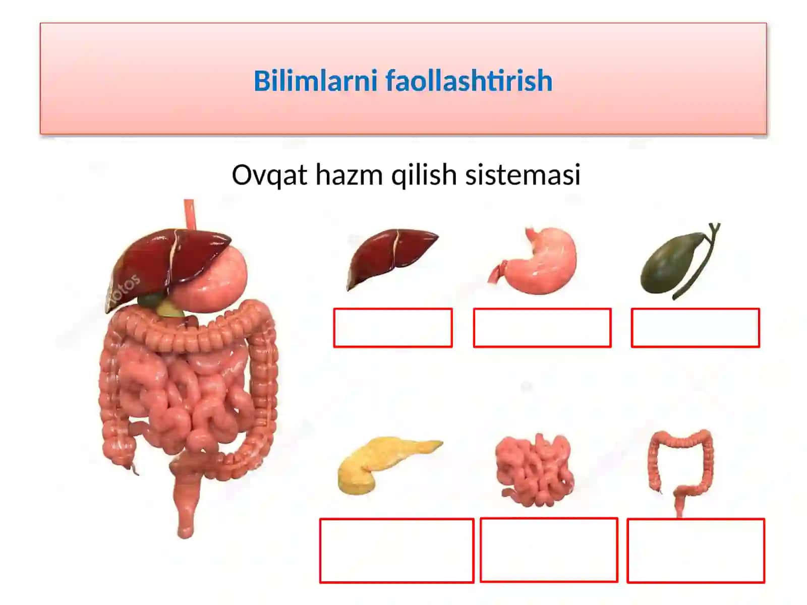 Ratsional ovqatlanish, kunlik ovqat ratsionini tuzish 2