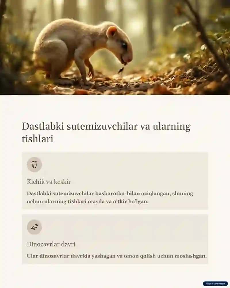 tish evolutsiyasi 2