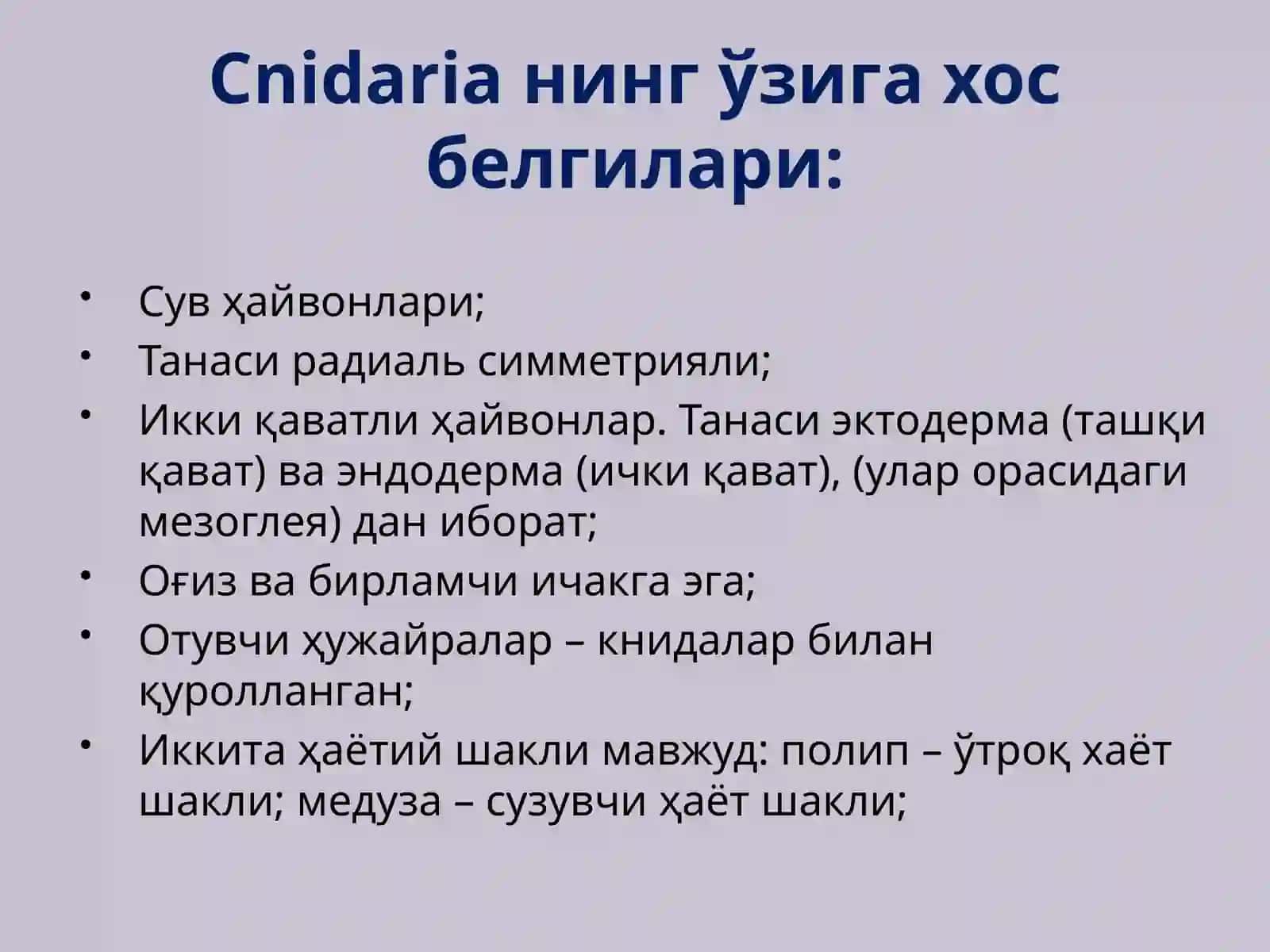 Eumetazoa (Ҳақиқий кўп ҳужайралилар). Тип Cnidaria (Бўшлиқичлилар) 2