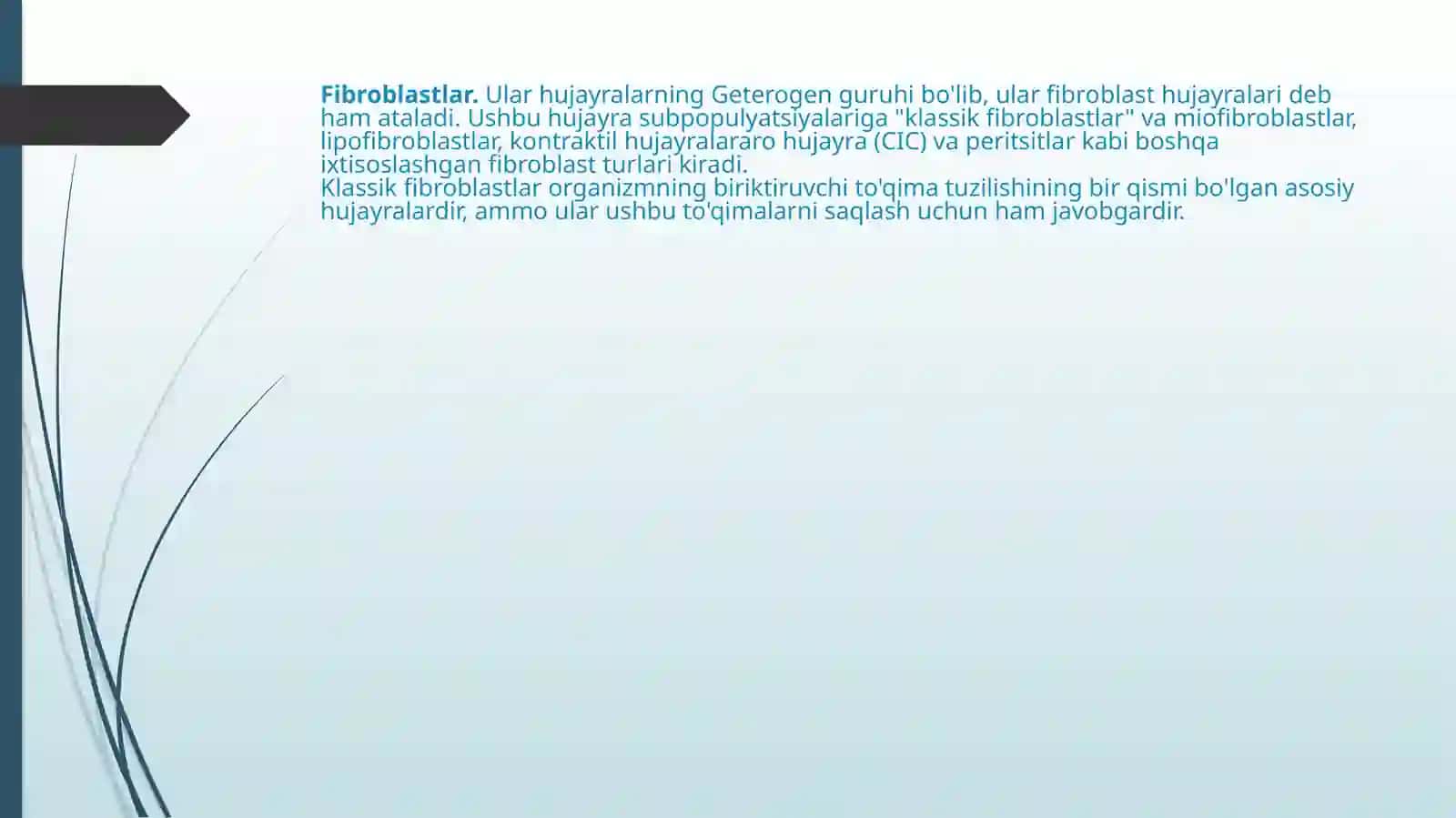 FIBROBLASTLARNING JAROHATNING BITISHI VA CHANDIQ HOSIL BO’LISHIDAGI ROLI 2