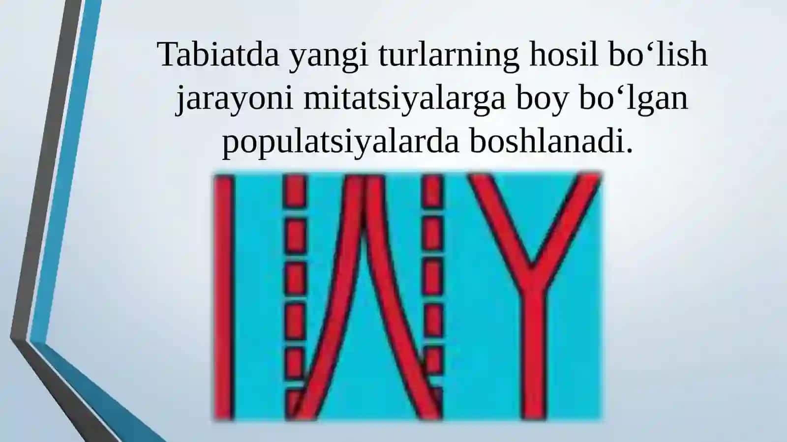 Tur paydo bo‘lishi 2