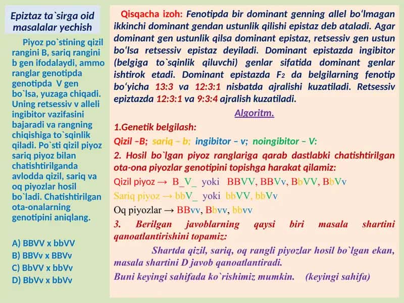 Genlarning Epistaz Ta'siri 2
