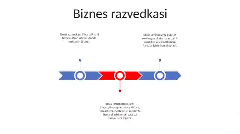 Biznes Subeyktlariga Hizmat Ko'Rstuvchi Infratuzilmalari 2