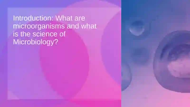 Microbiology: Invisible Life and Its Importance to Humanity 2