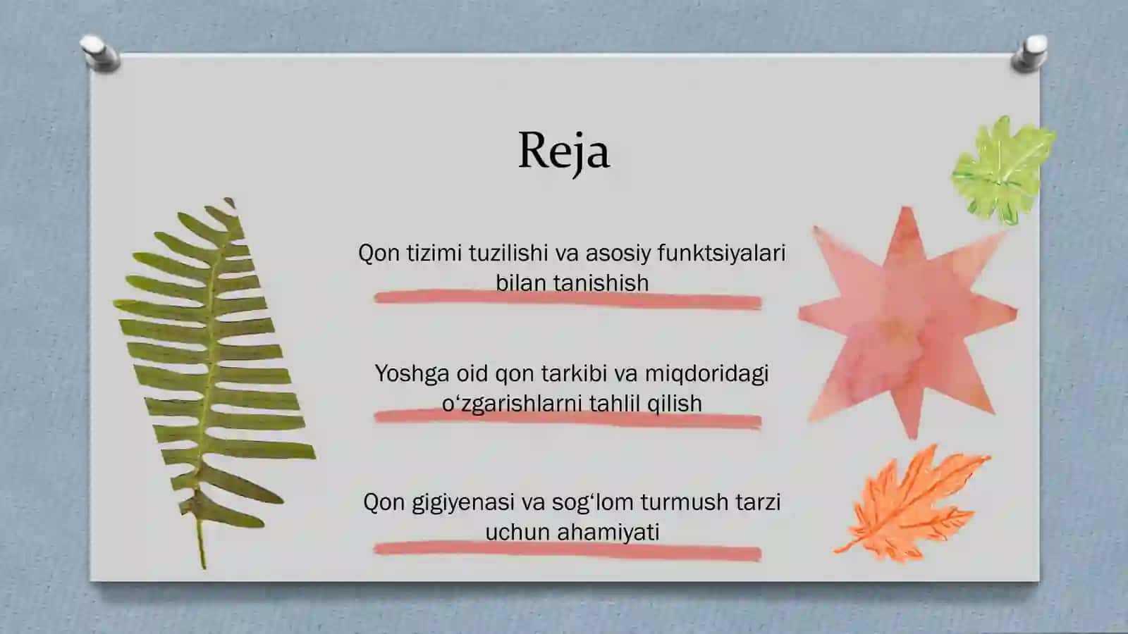 Qontizimiying yoshga oid xususiyatlari va gigiyenasi 2