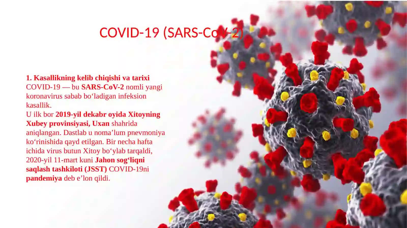 COVID-19 (SARS-CoV-2) 2
