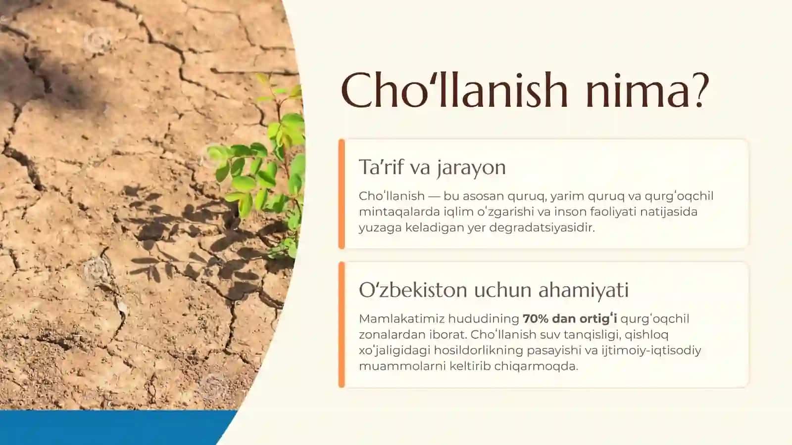 Oʻzbekistonda choʻllanish muammosi: Hozirgi holat va yechimlar 2