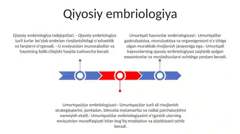 Umurtqali Va Umurtqasiz Hayvonlarni Rivojlanish 2