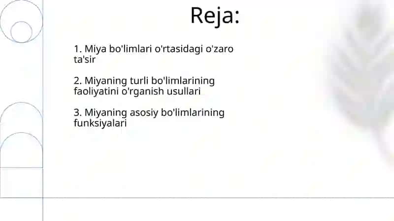 Bazal ganglionlar 2