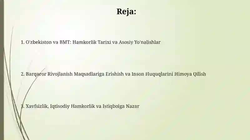O'zbekiston va BMT: Hamkorlik Tarixi va Asosiy Yo'nalishlar 2