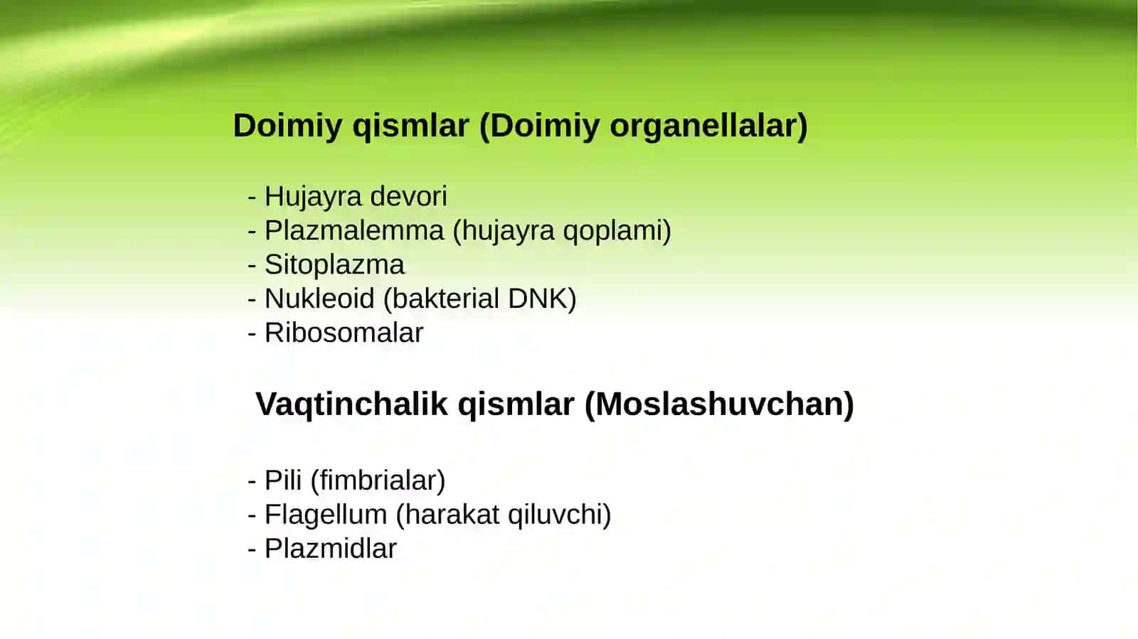 Bakteriya hujayrasining tuzilishi: doimiy bo‘lgan bakterial hujayra tuzilmalari 2