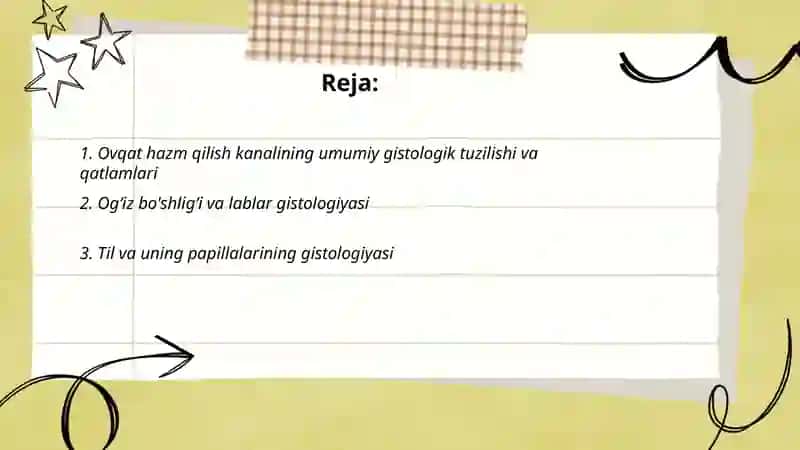 Ovqat hazm qilish sistemasi gistologiyasi 2