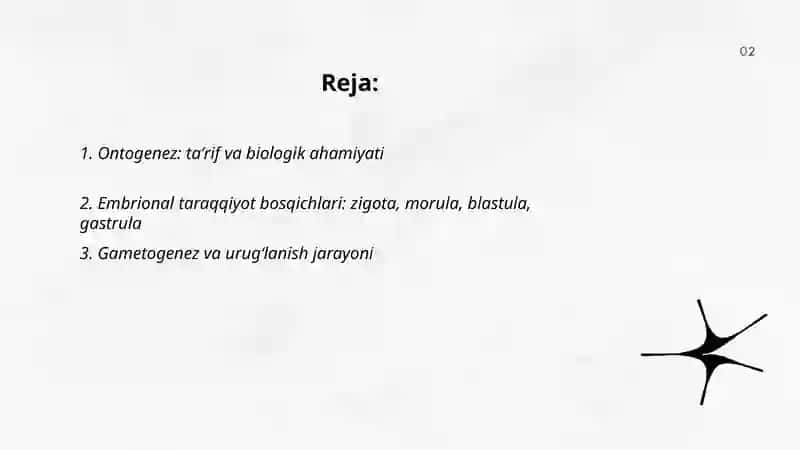 Ontogenez. Embrional taraqqiyotning xususiyatlari. Postnatal ontogenezning asosiy davrlar 2
