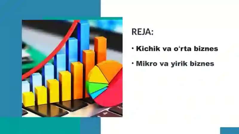 O‘zbekistonda mikro, kichik, o‘rta va yirik biznes toifalari 2