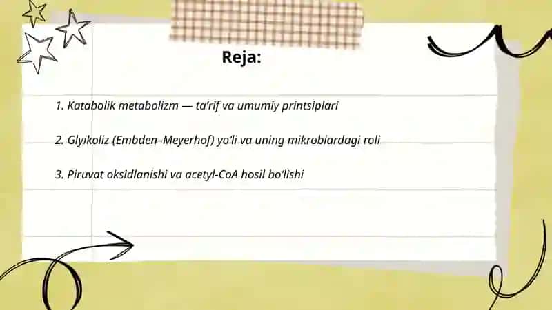 Katabolik metabolizm 2