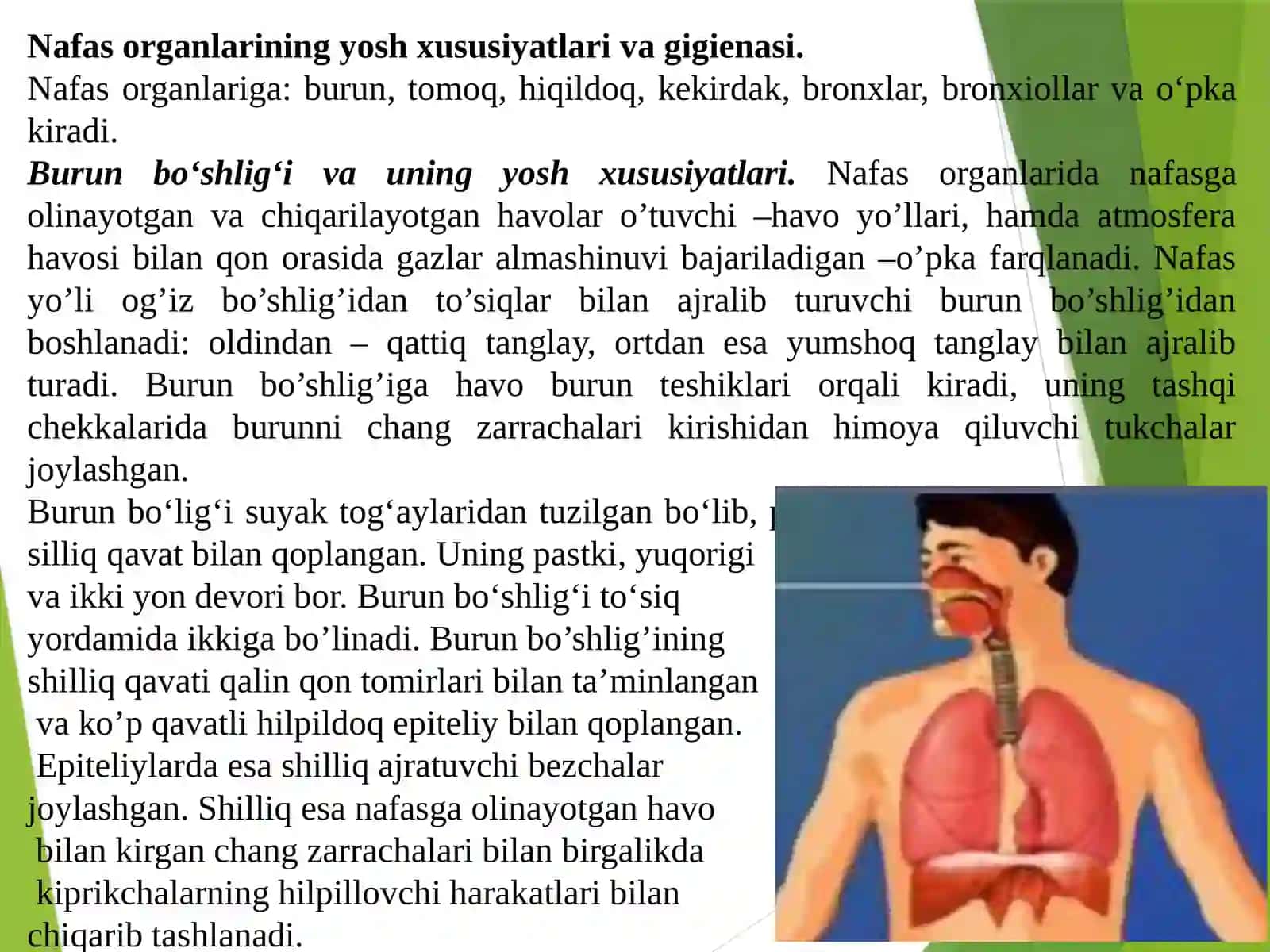 Nafas Tizimi Fiziologiyasi 2