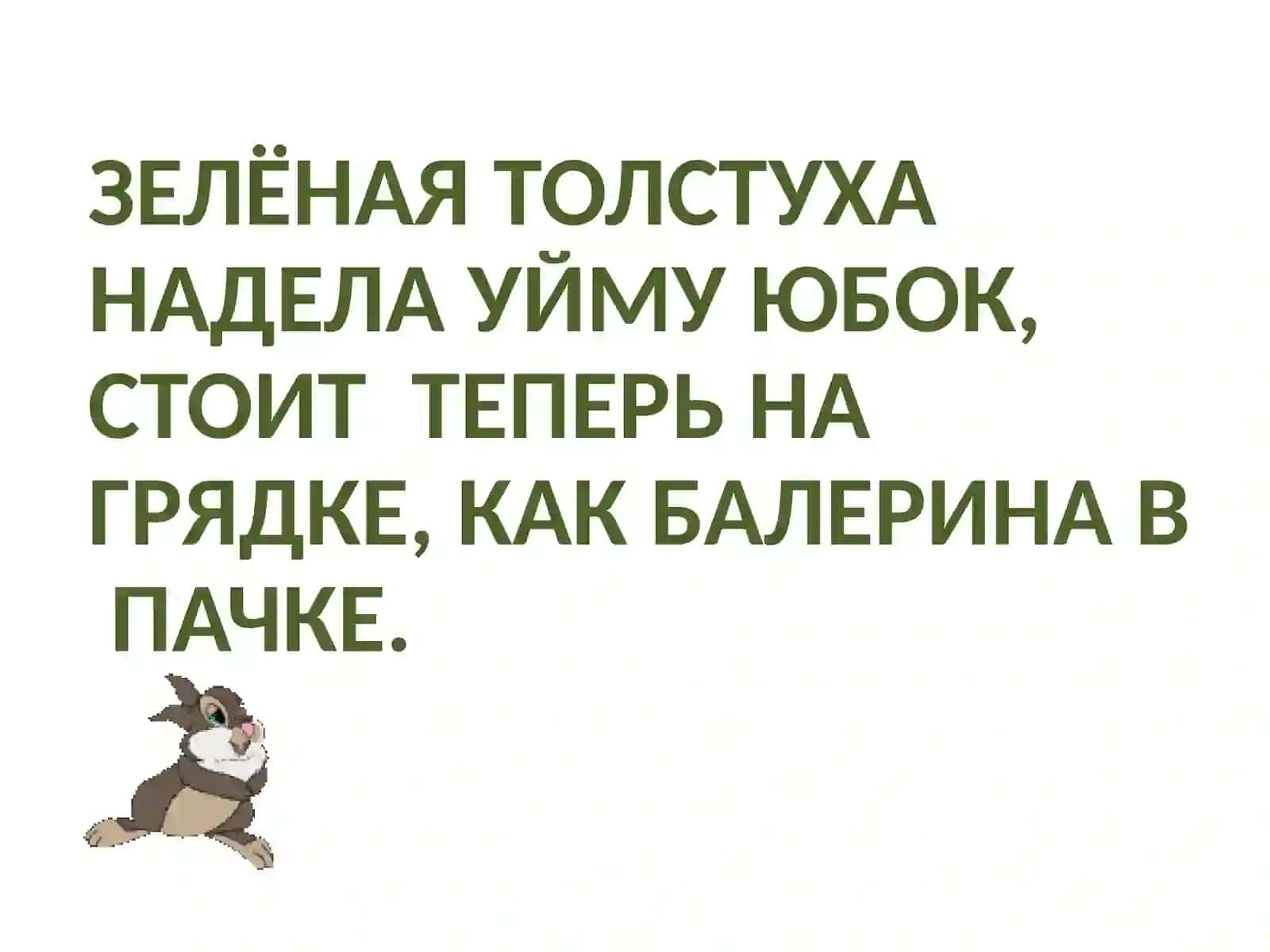 ЗАГАДКИ«ОВОЩИ НА ГРЯДКЕ» 2