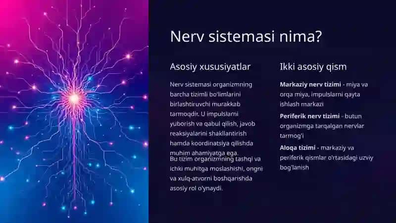 Nerv sistemasi va uning tuzilishi 2