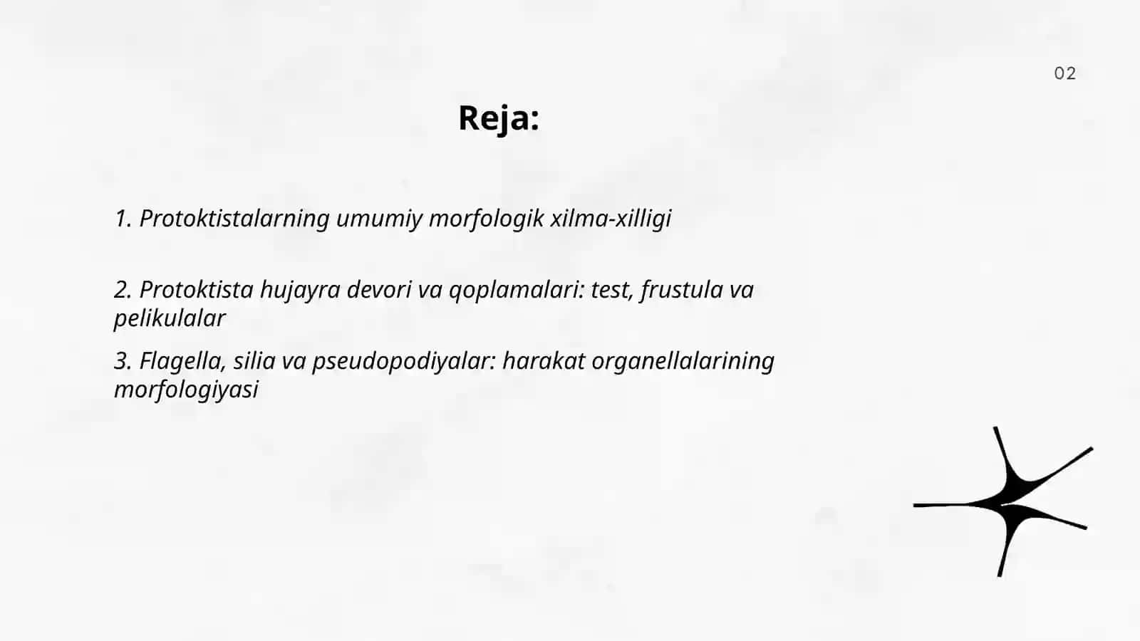 Protoktistalarning xilma xilligi va morfologiyasini o'rganish 2