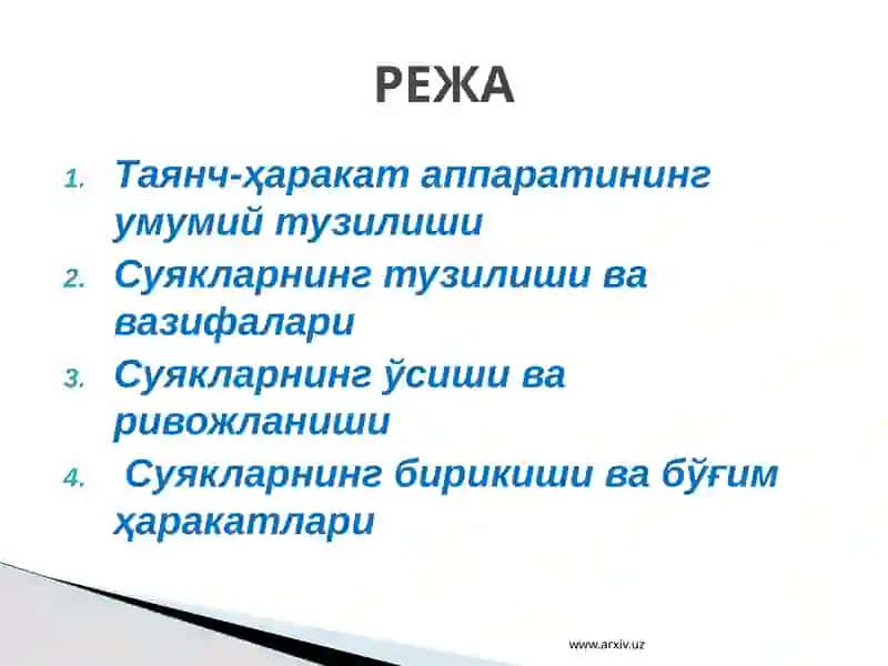 Таянч-ҳаракат тизимининг тузилиши ва аҳамияти 2