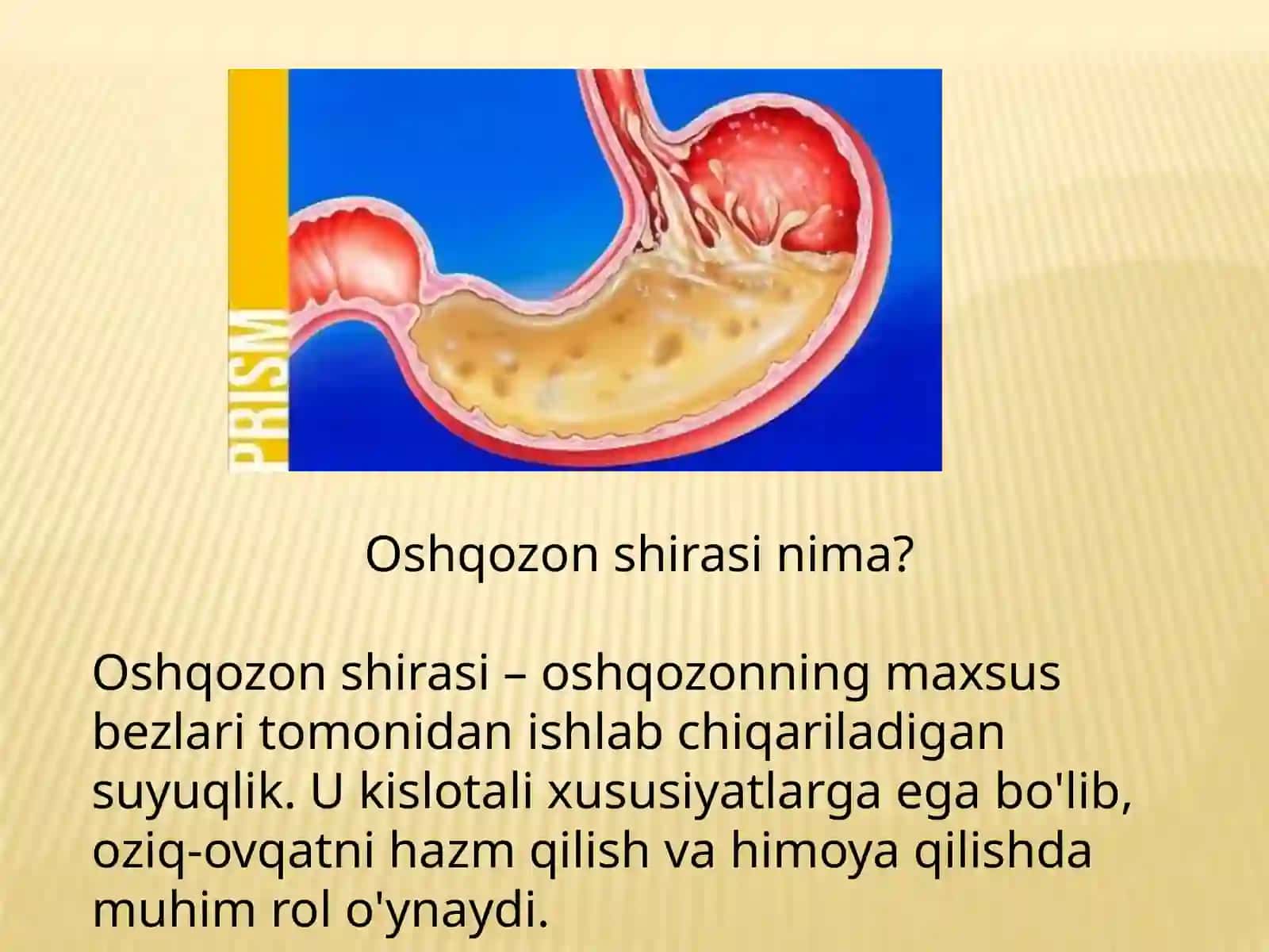 Oshqozon shirasini interpretatsiyasi 2