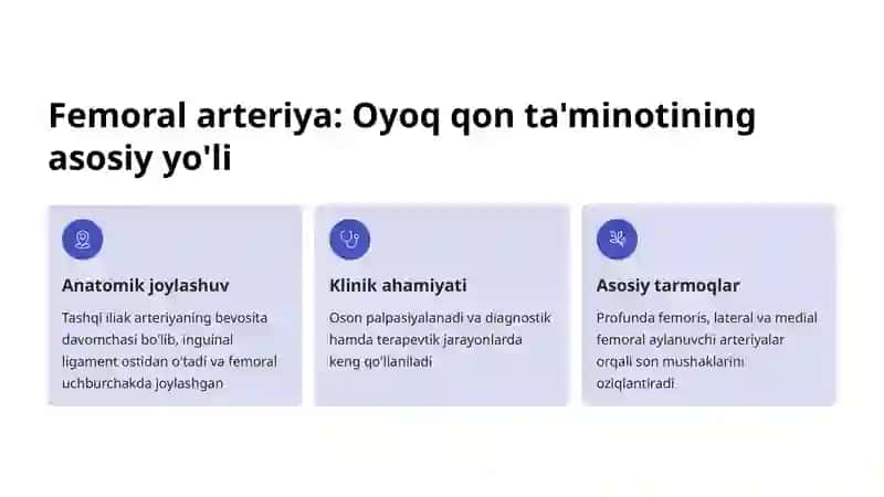 Oyoq arteriyalari: Femoral va Popliteal arteriyalar 2