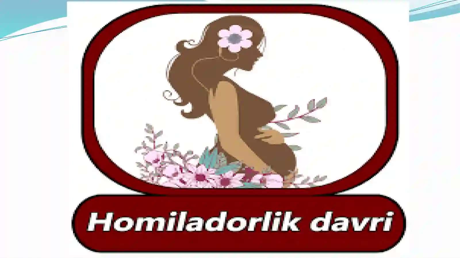 HOMILADOR AYOL ORGANIZMINING FIZIOLOGIK O’ZGARISHLARI 2