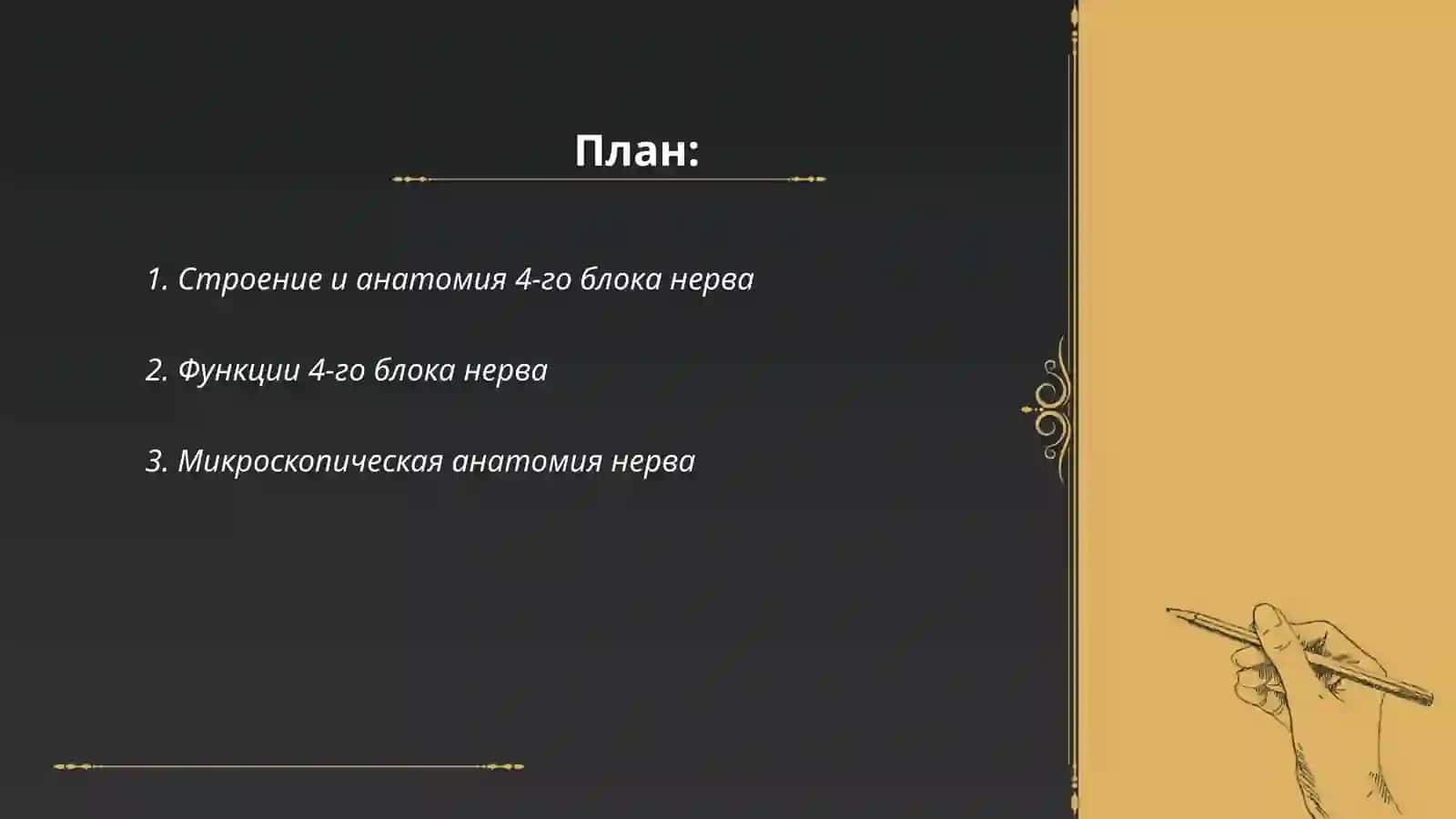 Четвёртый блоковый нерв (Nervus trochlearis) 2