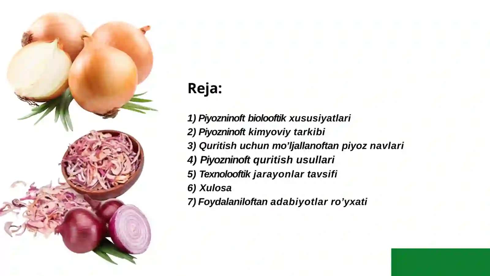 Piyoz quritish texnalogyayasi 2