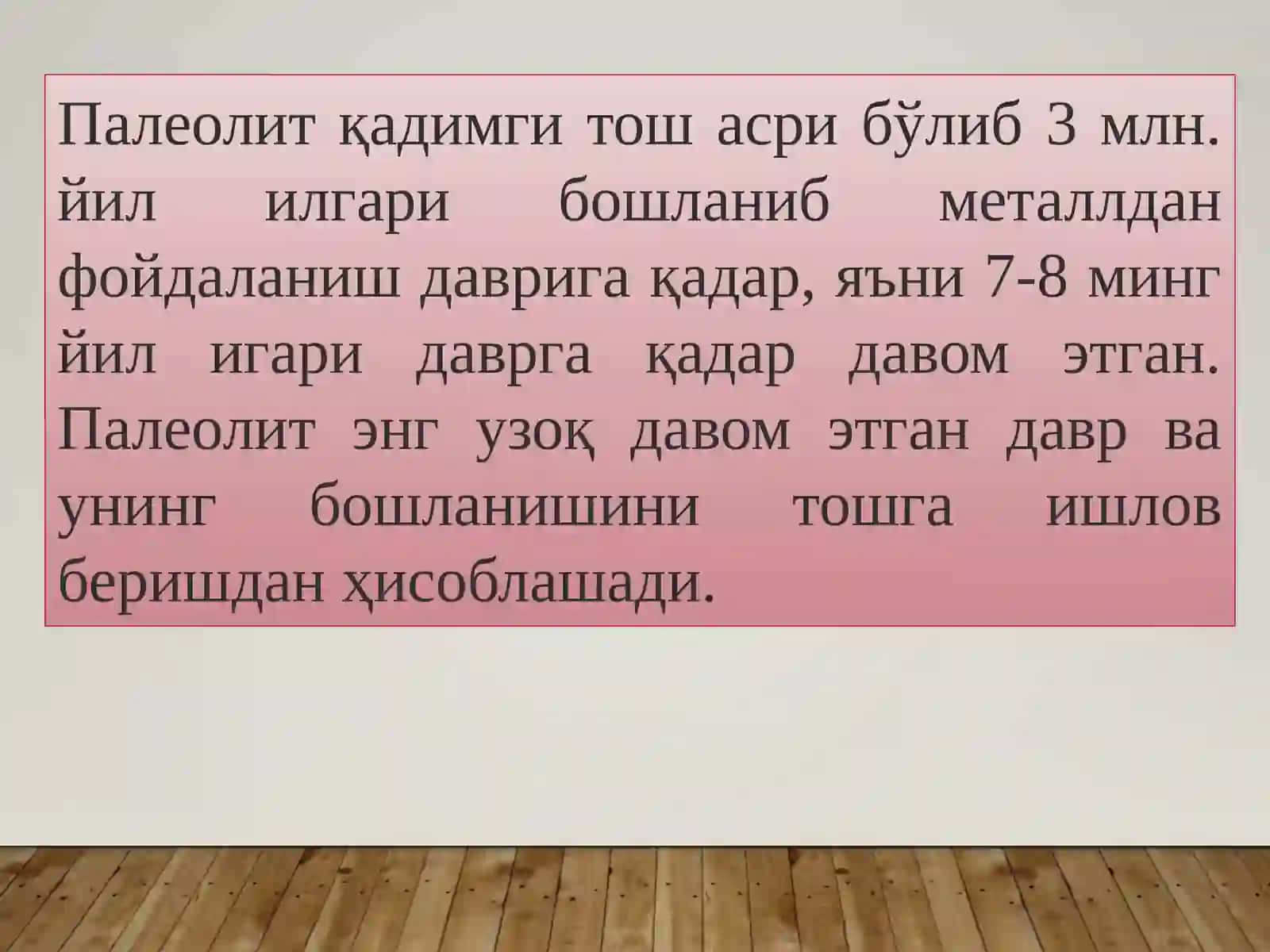 ПАЛЕОЛИТ 2