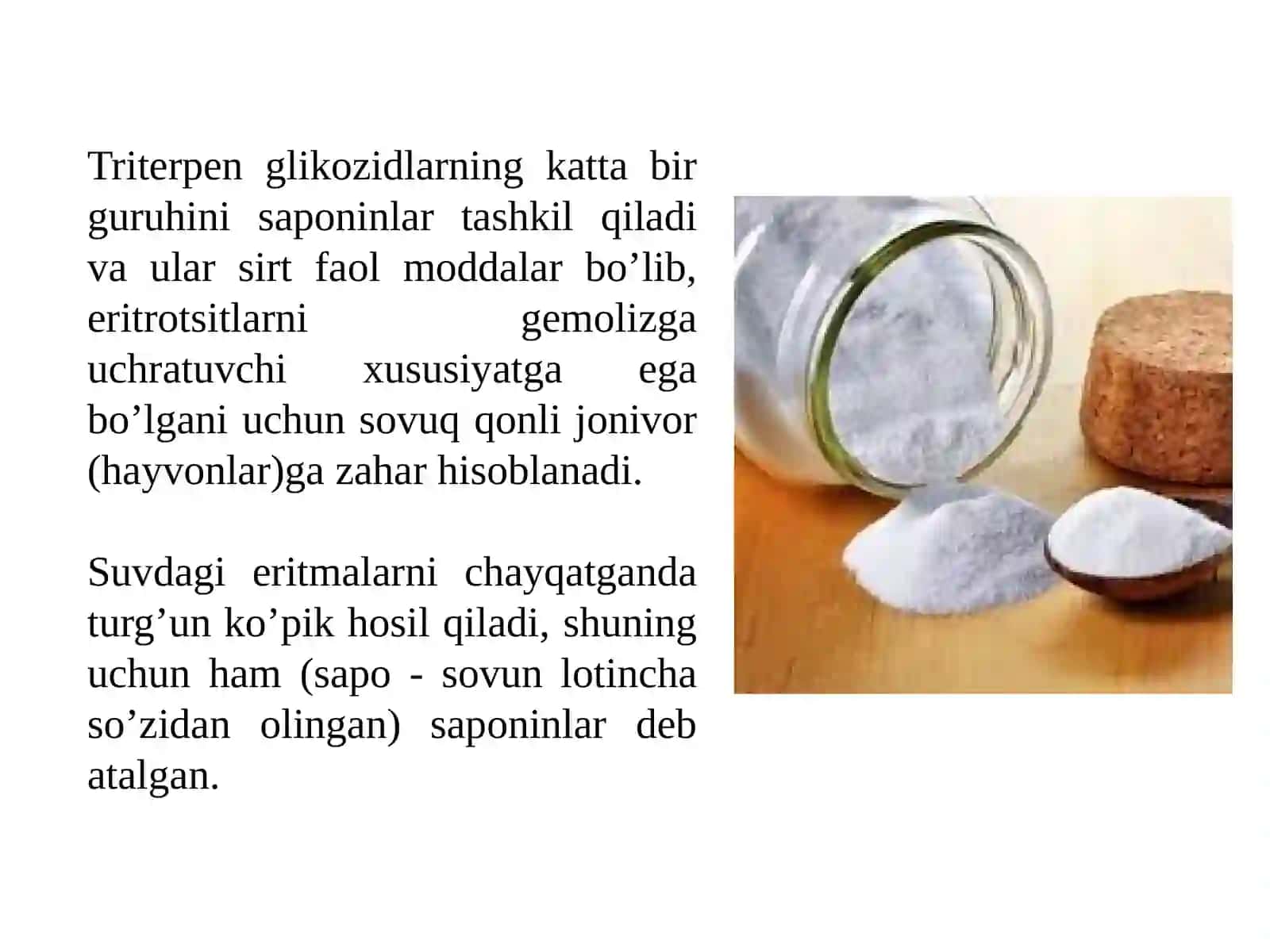 Saponinlar saqlovchi dorivor o’simliklar 2