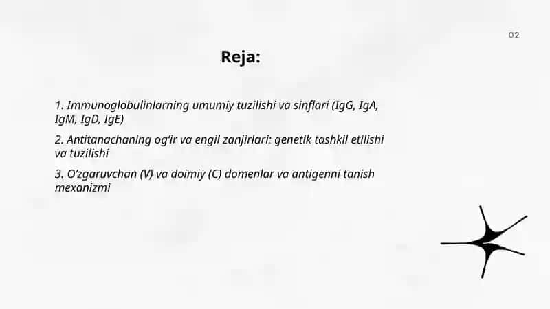 Immunoglobulin oqsillari 2